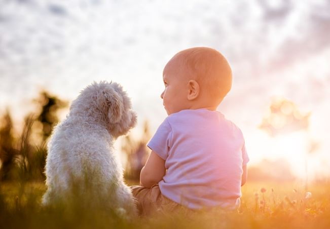 孕妇生男娃的症状表现有哪些？有科学依据吗？