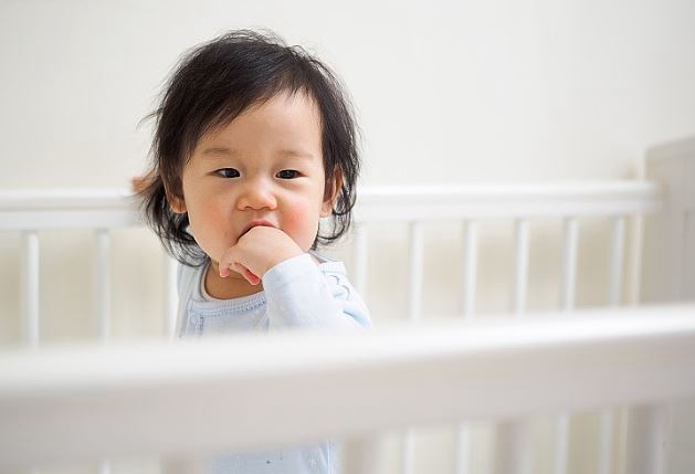 怀孕早期吃些什么对宝宝好？怀孕早期应避免哪些食物？