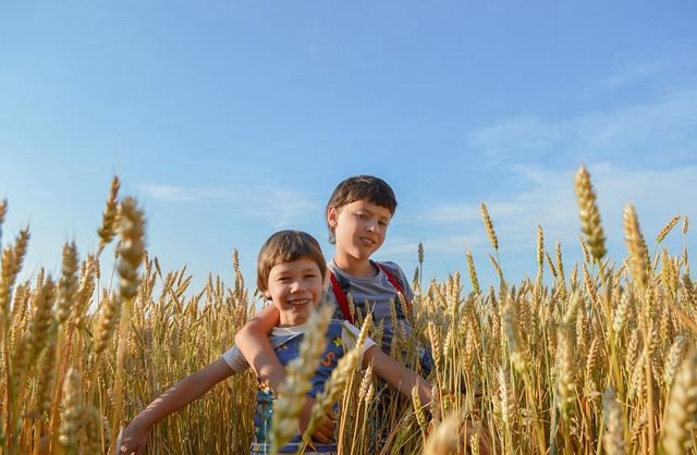 怀孕提重物肚子有点疼是为什么？孕妇提重物时可能会有哪些风险？